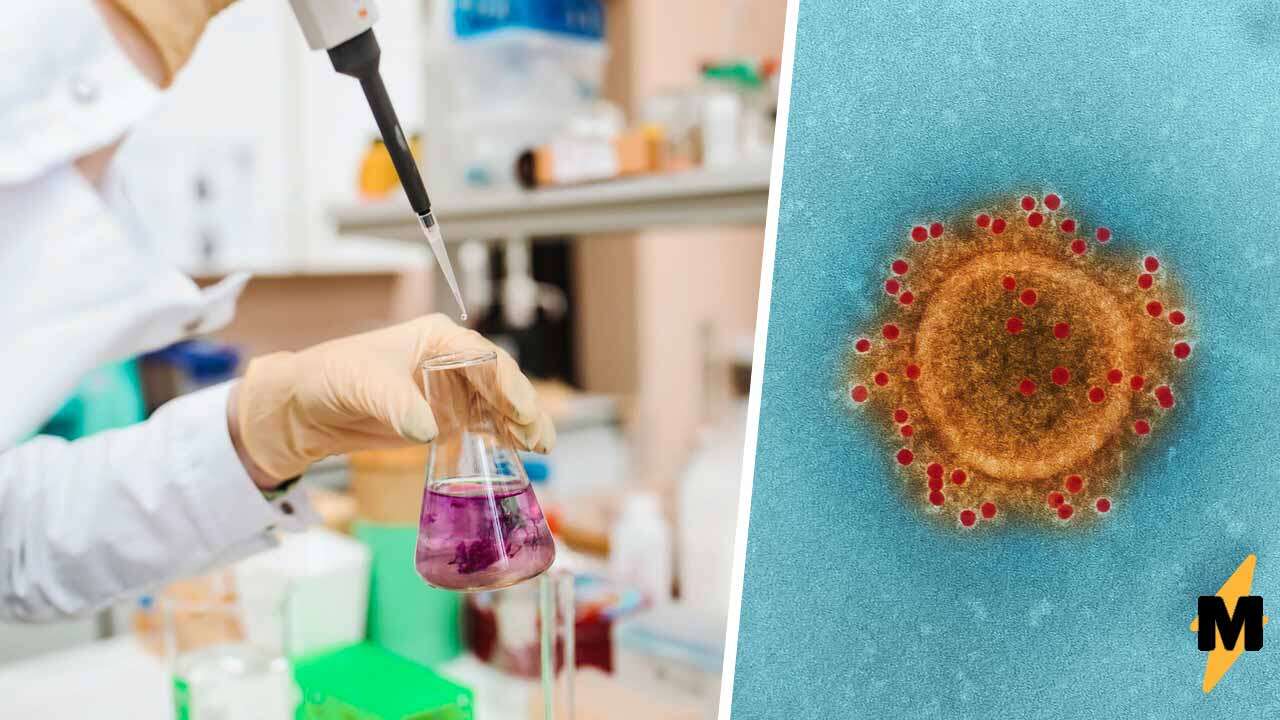 Подробнее о "Глава ВОЗ предупредил, что в мире может появиться новый опасный штамм коронавируса"