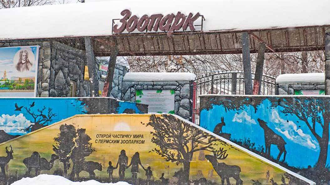 Подробнее о "Пермский зоопарк может открыться для посетителей в майские праздники"
