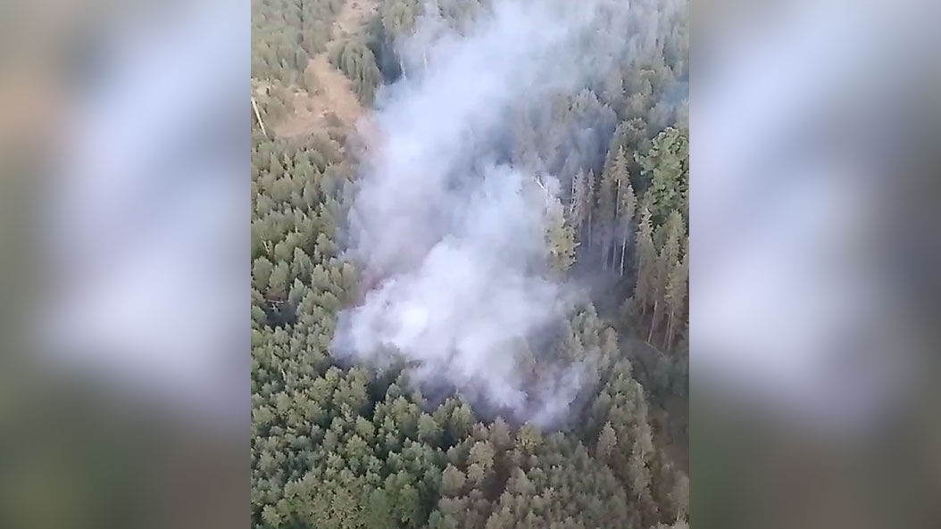 Подробнее о "В Пермском крае тушат лесной пожар"