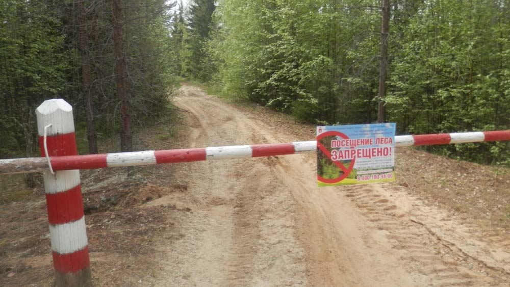 Подробнее о "В Пермском крае до 26 августа продлили запрет на посещение лесов"