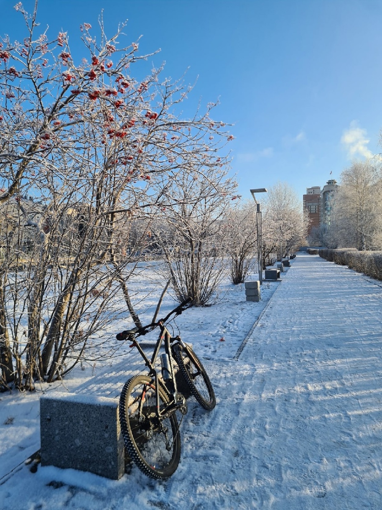 Подробнее о "В Перми пройдет новогодний велопробег по маршруту в виде числа 2023"