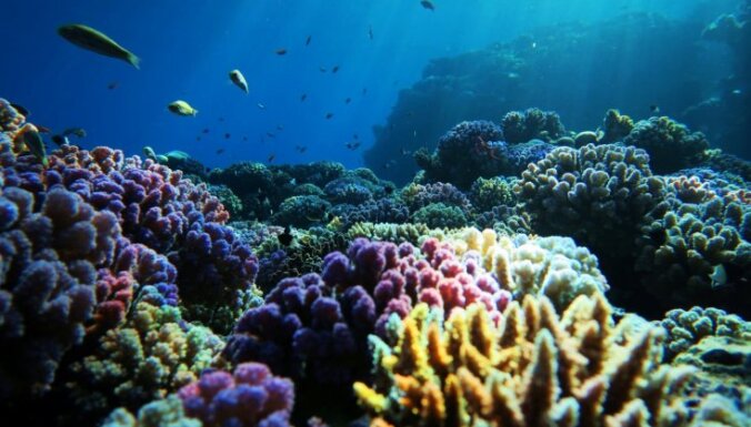 Подробнее о "Более ста стран заключили соглашение о защите Мирового океана"