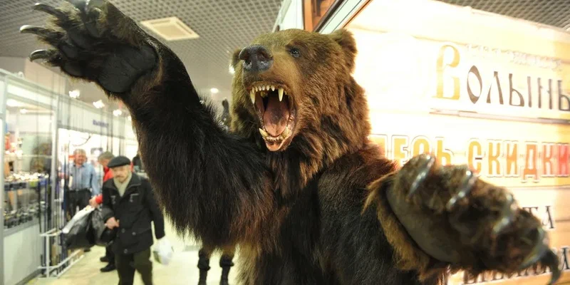 Подробнее о "В сезон охоты в Пермском крае разрешили убить 975 медведей"