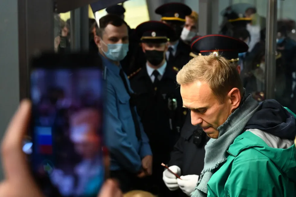 Подробнее о "Суд во Франции отклонил апелляцию Алексея Навального по его иску к Yves Rocher"