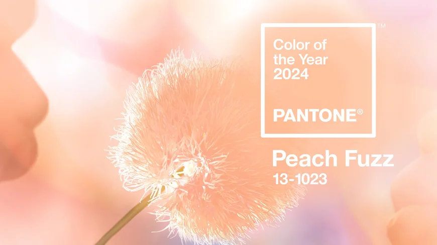 Подробнее о "Pantone назвал Peach Fuzz главным цветом 2024 года"