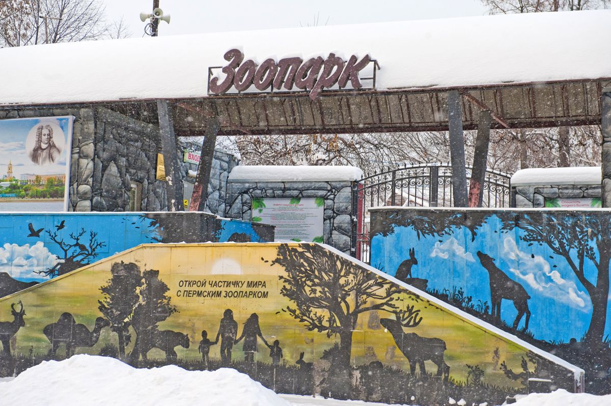 Подробнее о "Пермский зоопарк 8 марта установил для женщин специальную цену на билет"
