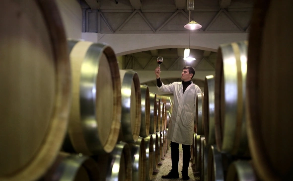 Подробнее о "Крупнейший в России производитель вина «Кубань-Вино» перешел в собственность государства"